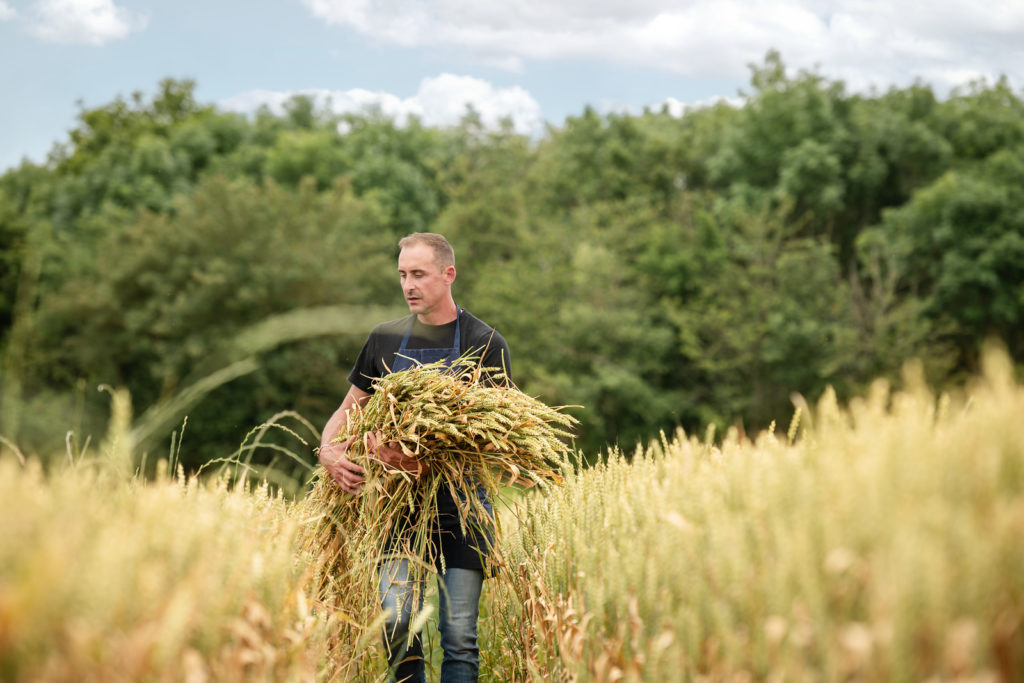 Photographie campagne publicitaire LaChaume - Dans les champs de blé